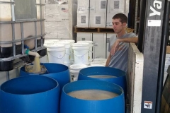 Grey managing the mash